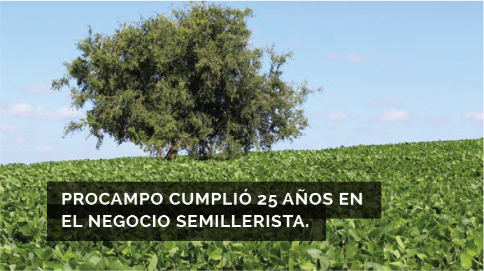 Asesoramiento que apunta a mejorar la rentabilidad.